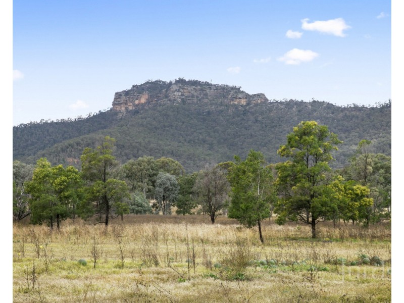 156 Wollombi Road, Broke NSW 2330