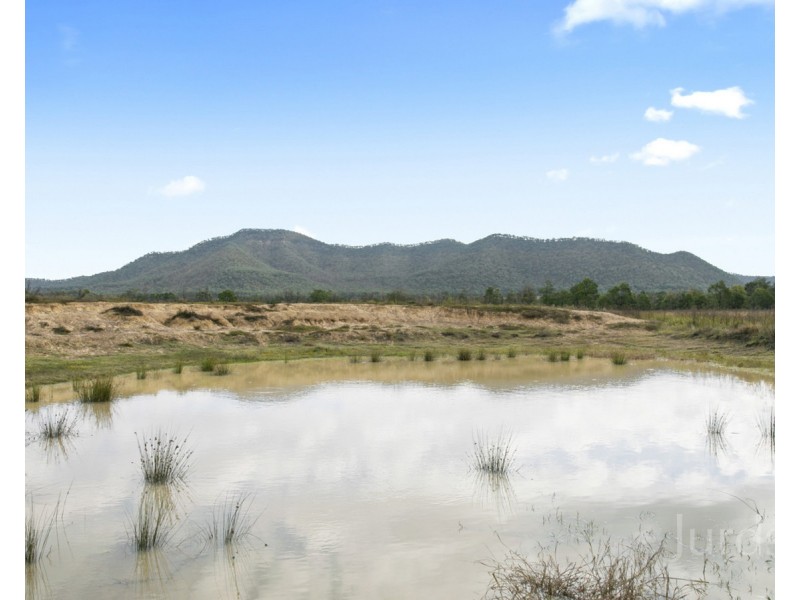 156 Wollombi Road, Broke NSW 2330