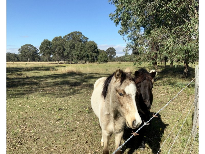 394 Camp Road, Greta NSW 2334