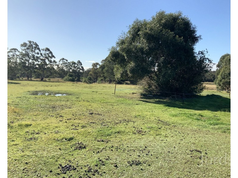 394 Camp Road, Greta NSW 2334