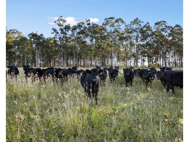 69 & 189 Oakey Creek Road, Pokolbin NSW 2320