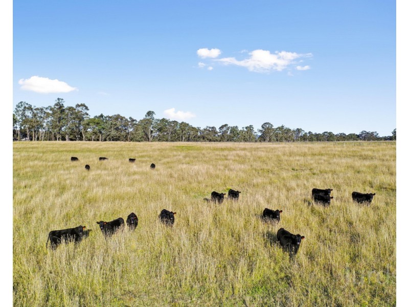 69 & 189 Oakey Creek Road, Pokolbin NSW 2320