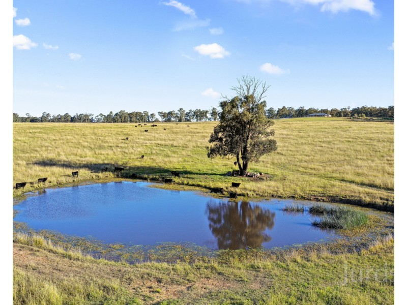 69 & 189 Oakey Creek Road, Pokolbin NSW 2320