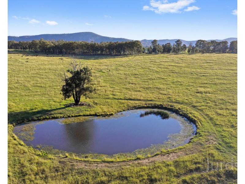69 & 189 Oakey Creek Road, Pokolbin NSW 2320