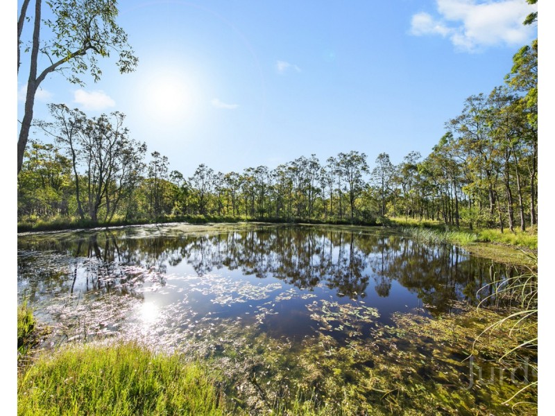 Lot 113, The Ballabourneen, Lovedale NSW 2325