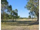 Lot 113, The Ballabourneen, Lovedale NSW 2325