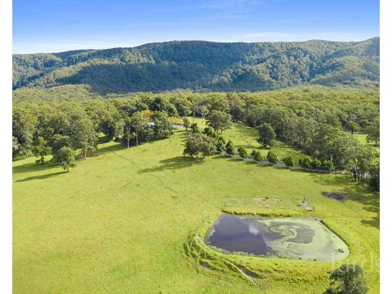 161 Becks Road, Freemans Waterhole NSW 2323