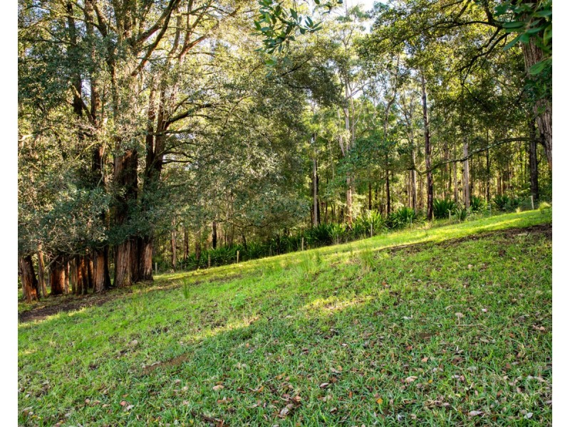 161 Becks Road, Freemans Waterhole NSW 2323