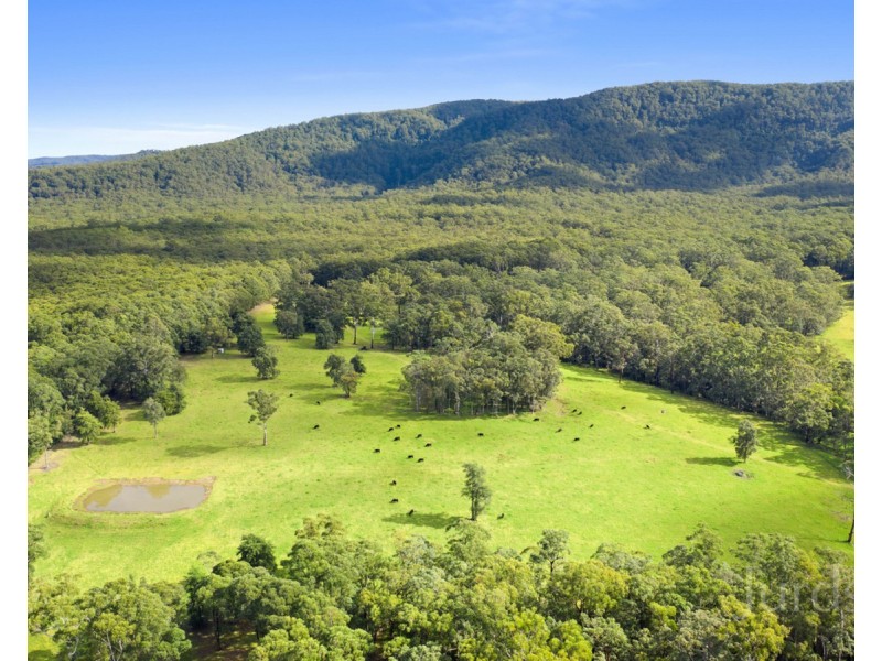 161 Becks Road, Freemans Waterhole NSW 2323