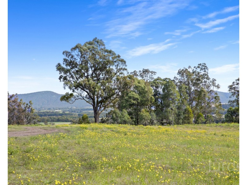 83 Londons Road, Lovedale NSW 2325