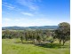 83 Londons Road, Lovedale NSW 2325