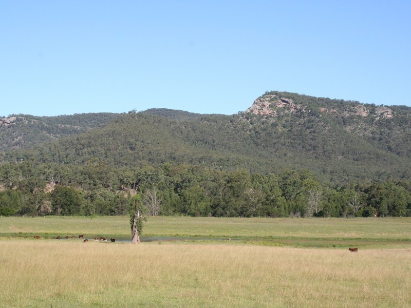 Adams Peak Road, Broke NSW 2330