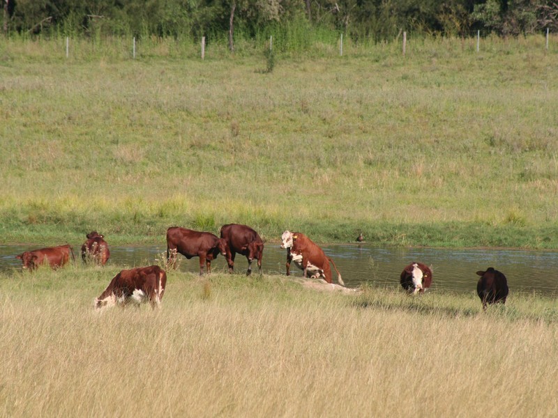Adams Peak Road, Broke NSW 2330