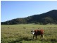 Adams Peak Road, Broke NSW 2330