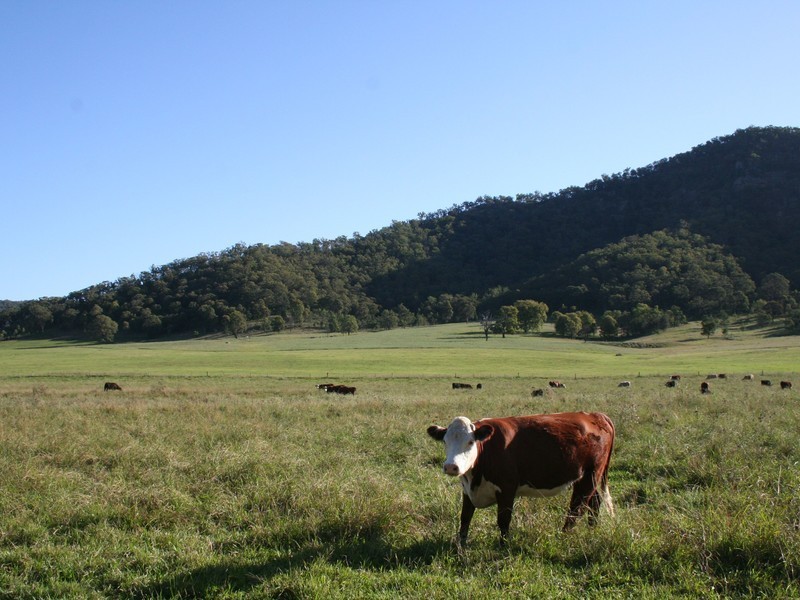 Adams Peak Road, Broke NSW 2330
