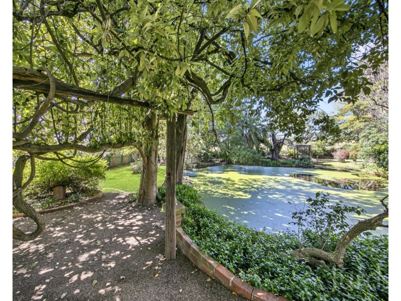 245 Station Lane, Lochinvar NSW 2321