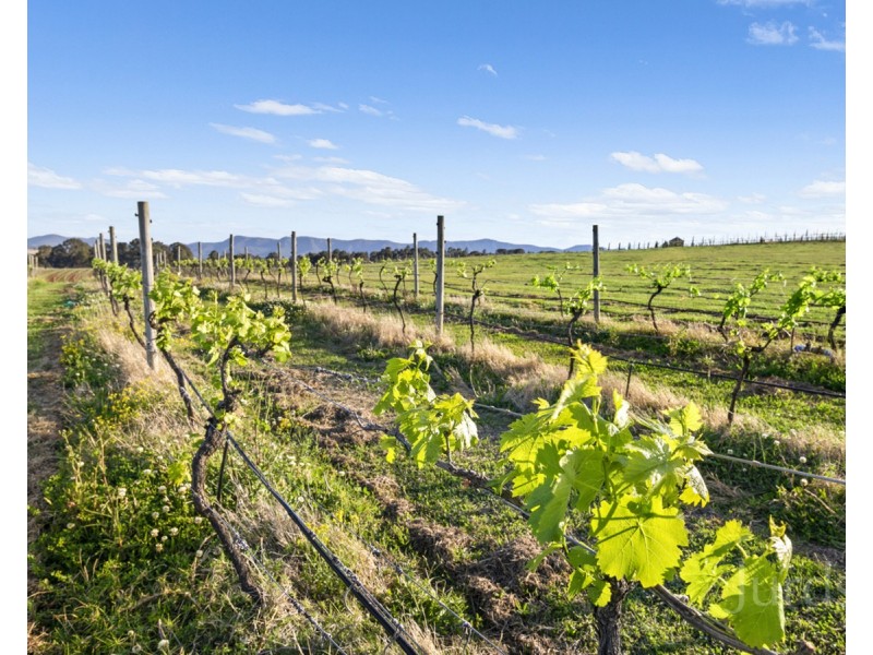 257 Sweetwater Road, Pokolbin NSW 2320