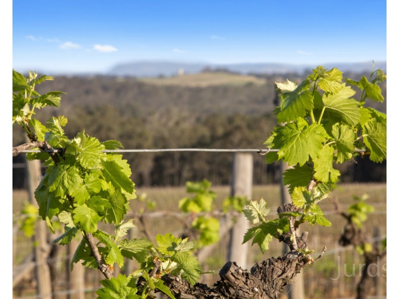 257 Sweetwater Road, Pokolbin NSW 2320