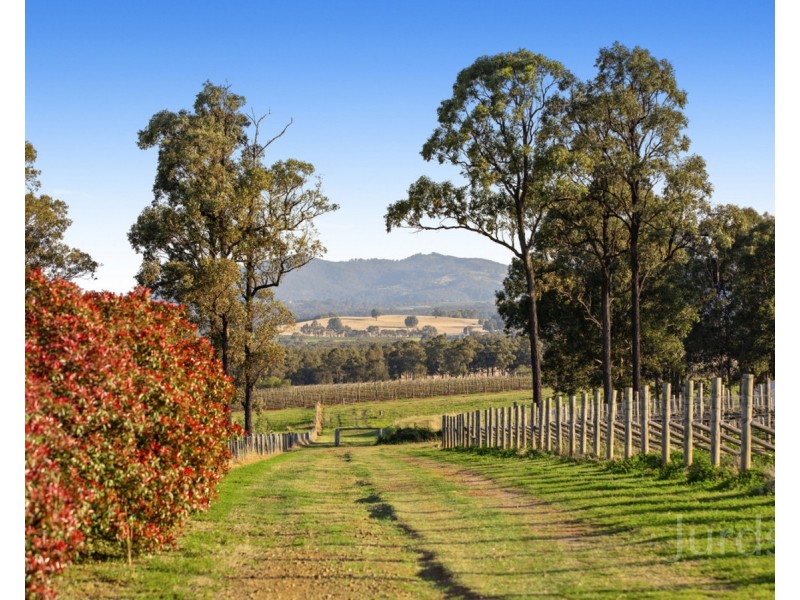 229 Sweetwater Road, Pokolbin NSW 2320