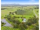 339 Talga Road, Lovedale NSW 2325