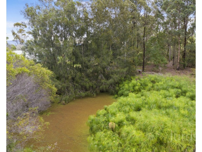 339 Talga Road, Lovedale NSW 2325