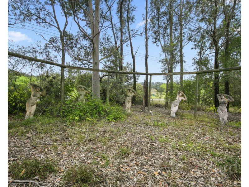 339 Talga Road, Lovedale NSW 2325