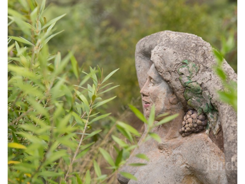 339 Talga Road, Lovedale NSW 2325