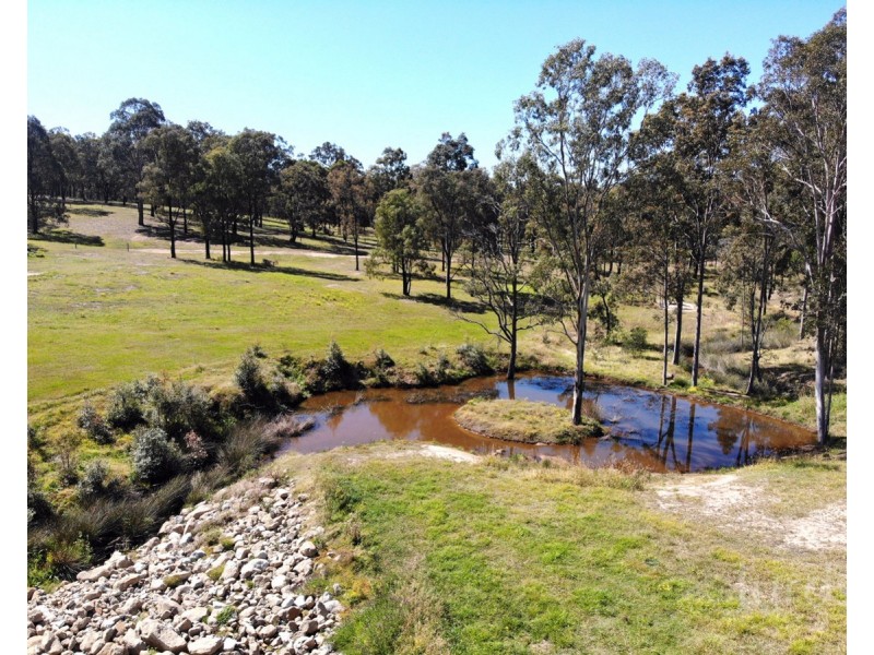 14 Freeman Close (Wattle Ponds), Singleton NSW 2330