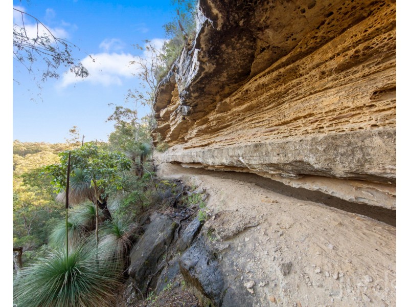 444 Sandy Creek Road, Mount Vincent NSW 2323