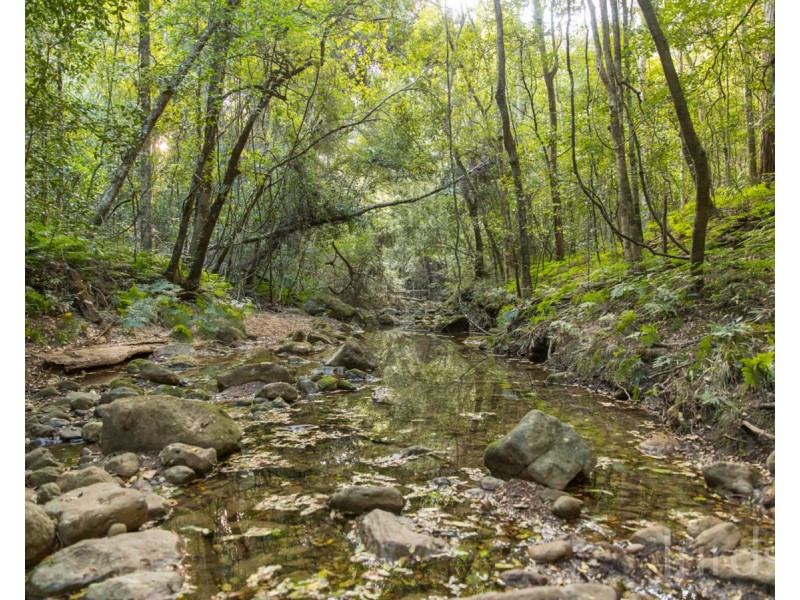 444 Sandy Creek Road, Mount Vincent NSW 2323