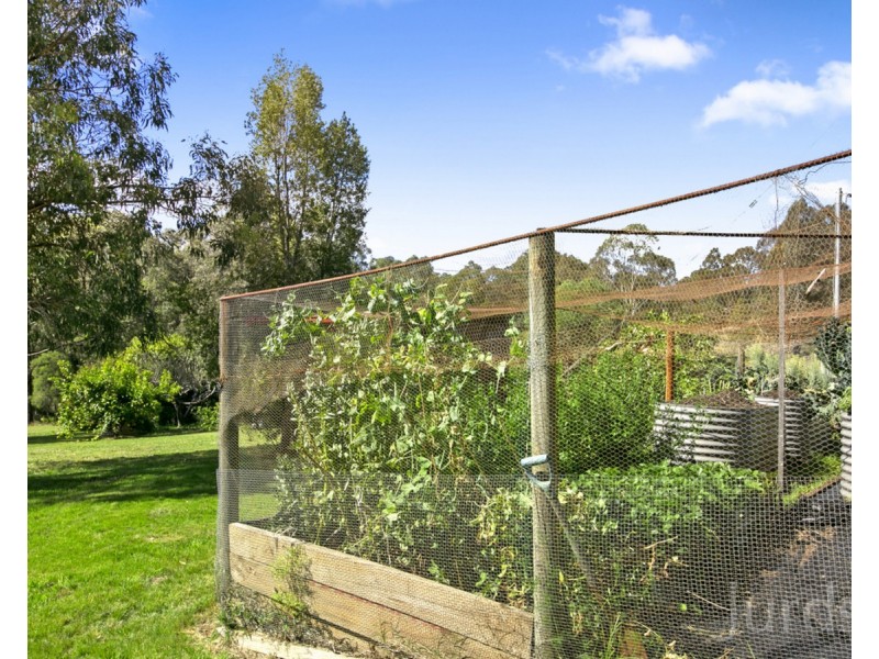 444 Sandy Creek Road, Mount Vincent NSW 2323