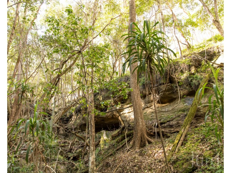 444 Sandy Creek Road, Mount Vincent NSW 2323