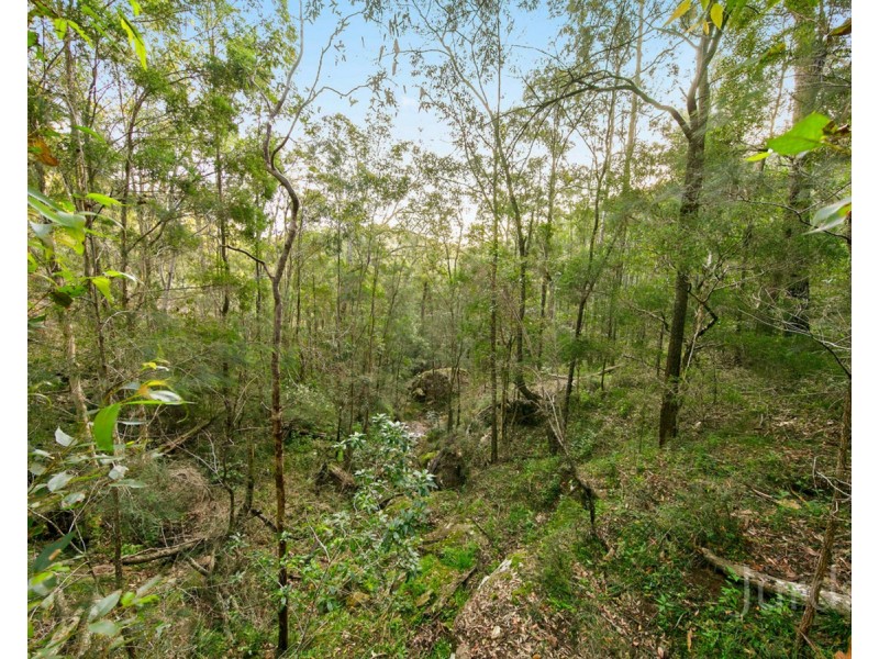 1648 Wollombi Road, Millfield NSW 2325