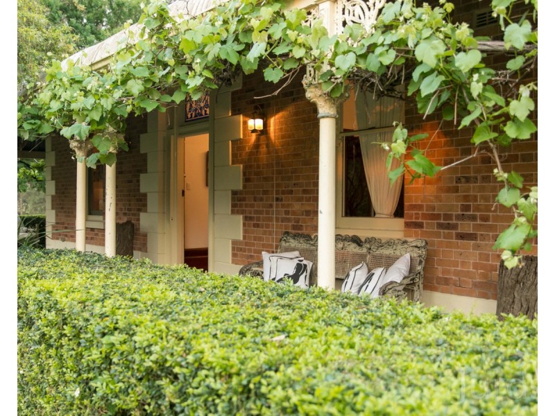 532 Tocal Road, Mindaribba NSW 2320