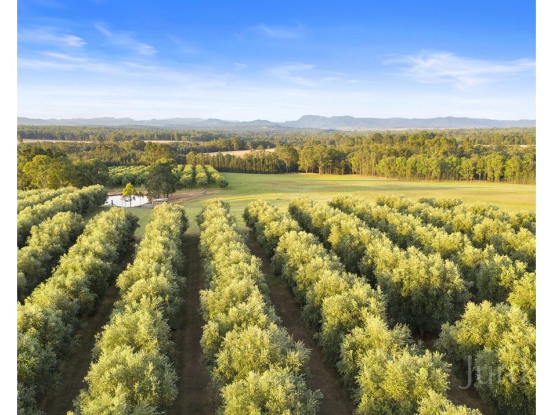 65 Squire Close, Pokolbin NSW 2320