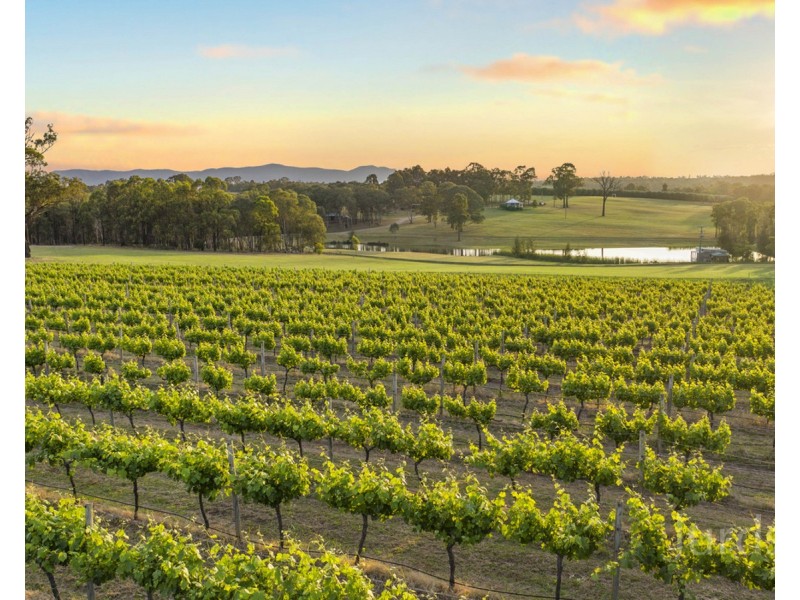 65 Squire Close, Pokolbin NSW 2320