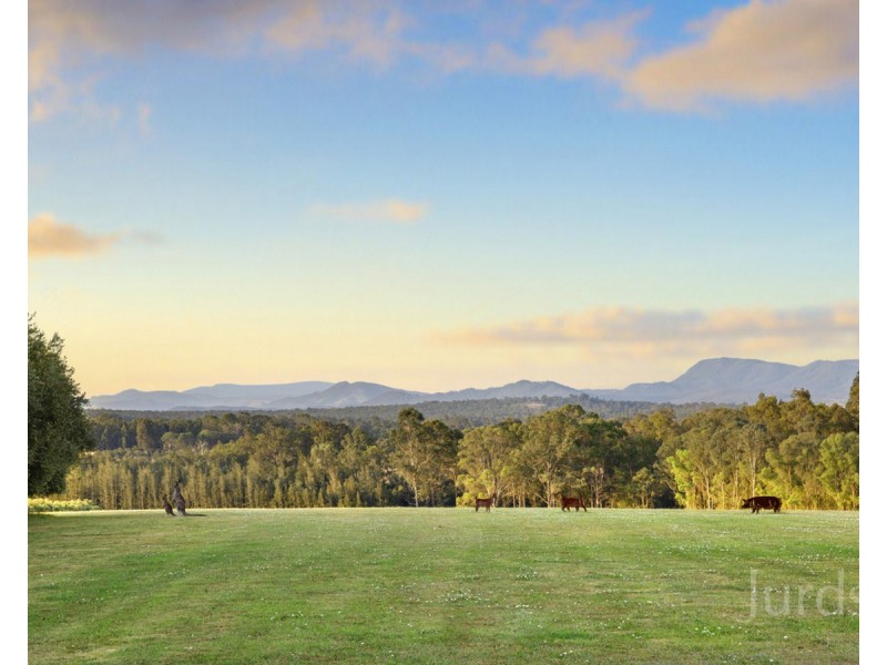 65 Squire Close, Pokolbin NSW 2320