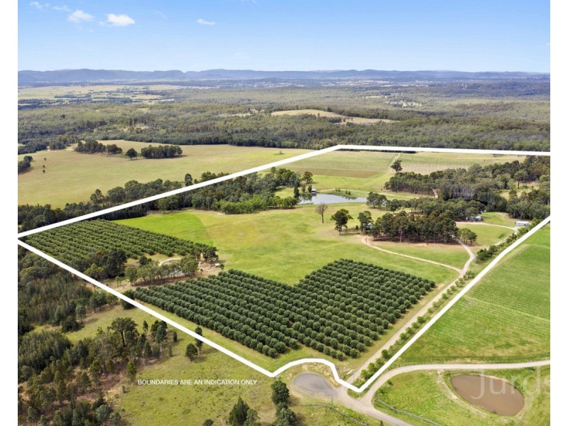 65 Squire Close, Pokolbin NSW 2320