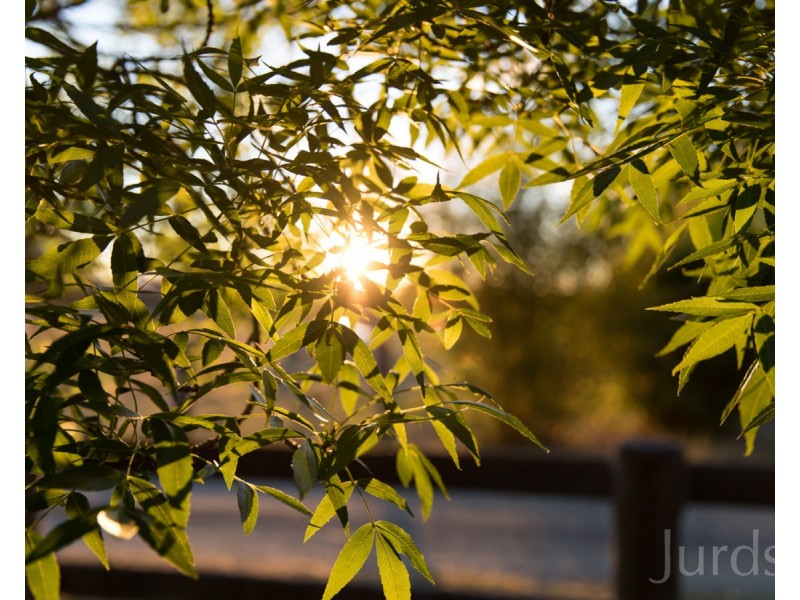 60 Mears Lane, Keinbah NSW 2320