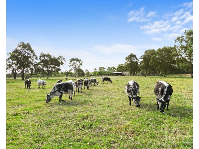 60 Mears Lane, Keinbah NSW 2320