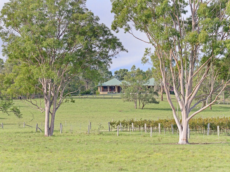 Lot 2 Wine Country Drive, Pokolbin NSW 2320