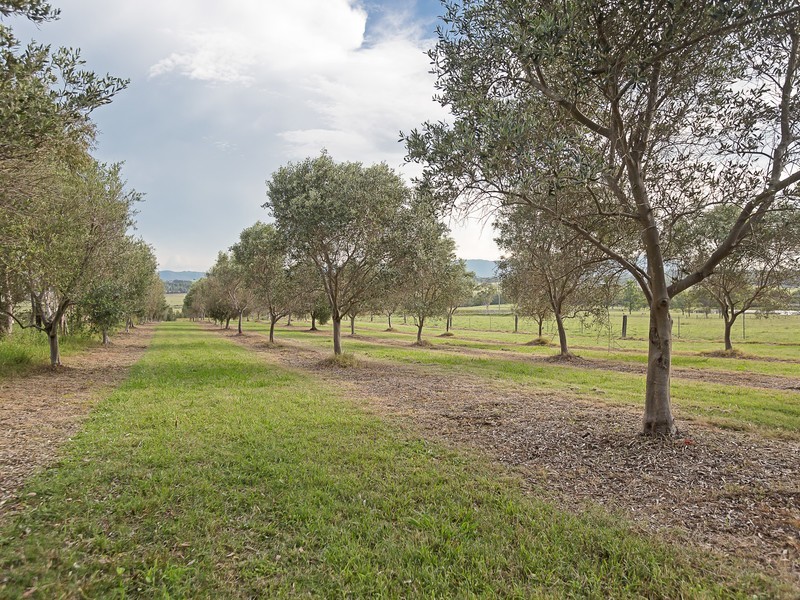 Lot 2 Wine Country Drive, Pokolbin NSW 2320