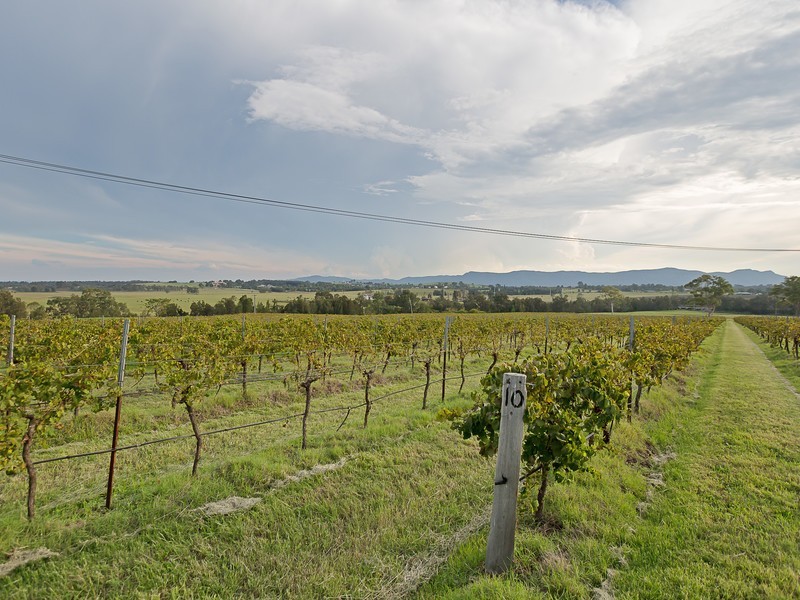 Lot 2 Wine Country Drive, Pokolbin NSW 2320