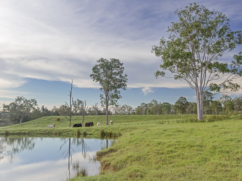 Lot 2 Wine Country Drive, Pokolbin NSW 2320