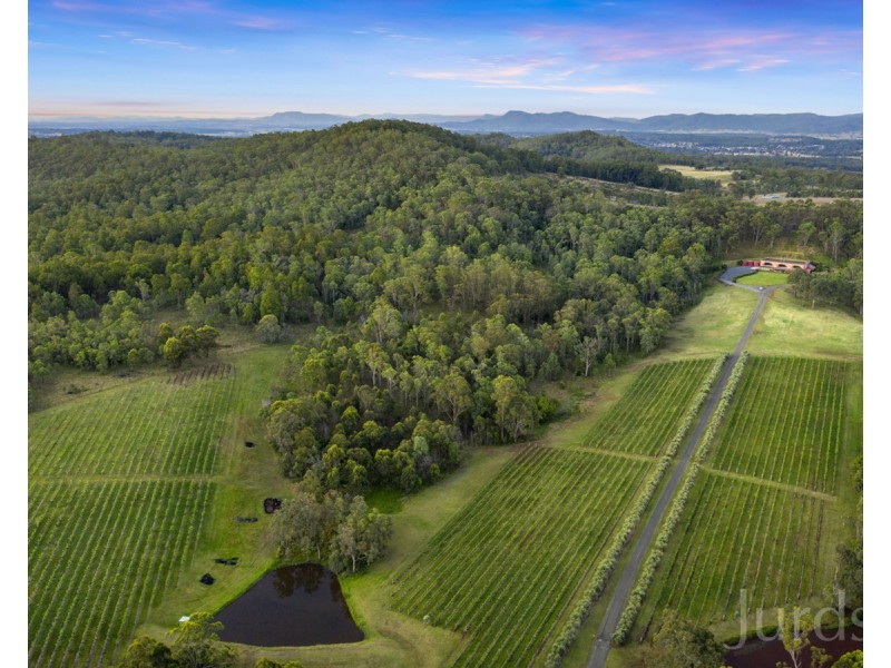 136 Talga Road, Lovedale NSW 2325