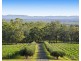 136 Talga Road, Lovedale NSW 2325