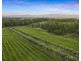 136 Talga Road, Lovedale NSW 2325