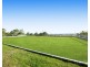 136 Talga Road, Lovedale NSW 2325
