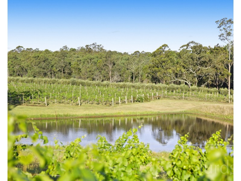 136 Talga Road, Lovedale NSW 2325