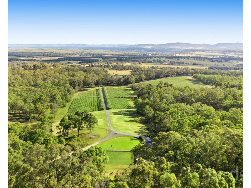 136 Talga Road, Lovedale NSW 2325
